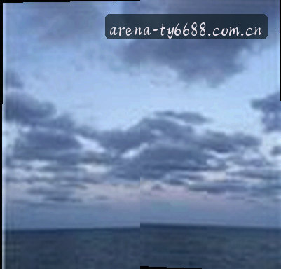 赵阳